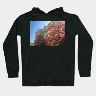 Spring Blossoms at Château d&#39;Amboise Hoodie